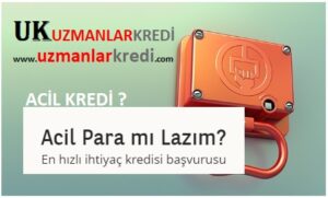 Read more about the article Acil Kredi Nasıl Alırım?