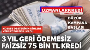 Read more about the article Esnafa 3 Yıl Geri Ödemesiz Kredi Hamlesi Rahatlama Planı! Kimler Faydalanacak?